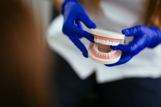 Best Dentures (Full and Partial)  in West Bradenton, FL