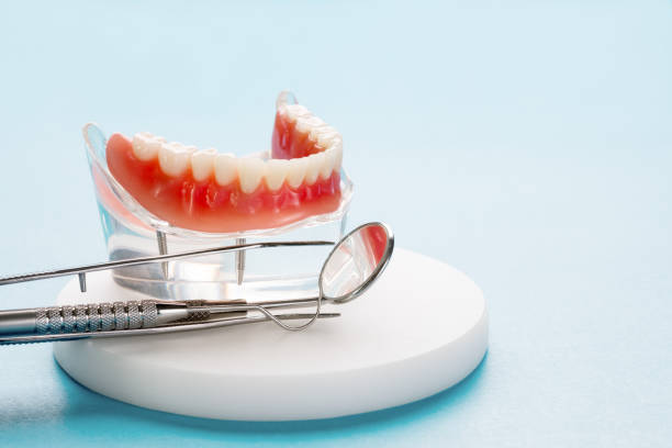  West Bradenton, FL Holistic Dental Services Pros